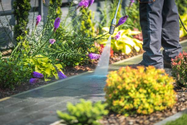 Best Gutter Cleaning  in Baldwin, GA